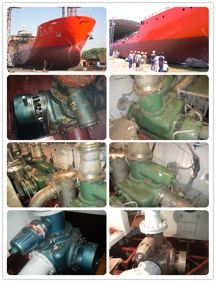 雙螺桿泵現(xiàn)場案例