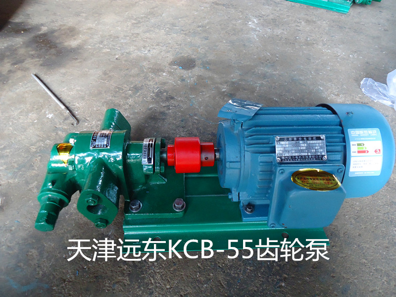 天津遠(yuǎn)東KCB-55齒輪泵 天津遠(yuǎn)東KCB-55齒輪泵