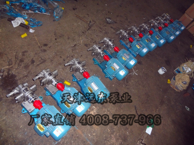 不銹鋼齒輪泵 不銹鋼齒輪泵