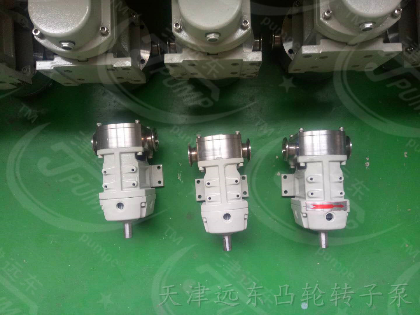 凸輪轉(zhuǎn)子泵